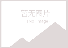 赤峰冰夏采矿有限公司